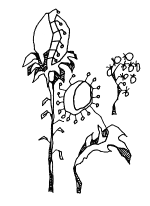 Серебряная чаша Унды Марины - i_007.png