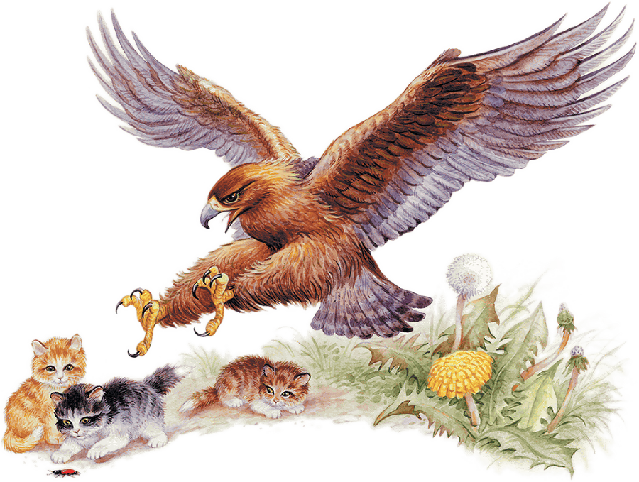 Рассказы и сказки(сборник) - i_018.png