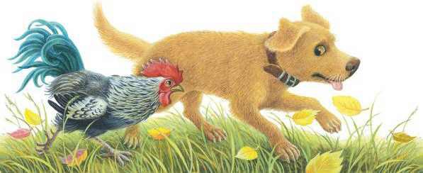 Сказки - i_026.jpg