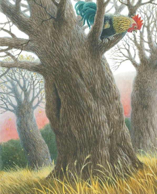 Сказки - i_028.jpg