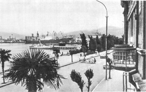 Большая Советская Энциклопедия (АД) - i008-pictures-001-291899962.jpg