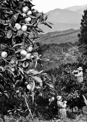 Большая Советская Энциклопедия (АД) - i008-pictures-001-293854885.jpg