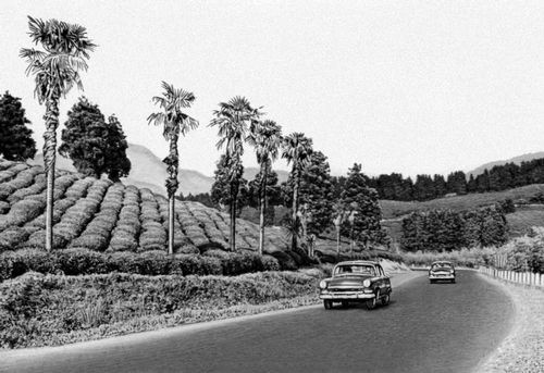 Большая Советская Энциклопедия (АД) - i010-001-273494831.jpg