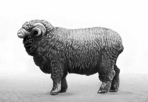 Большая Советская Энциклопедия (АС) - i010-001-286769107.jpg