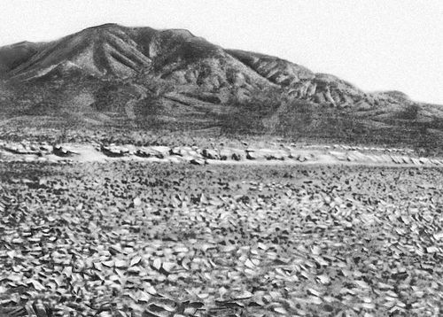 Большая Советская Энциклопедия (АТ) - i010-001-260063666.jpg