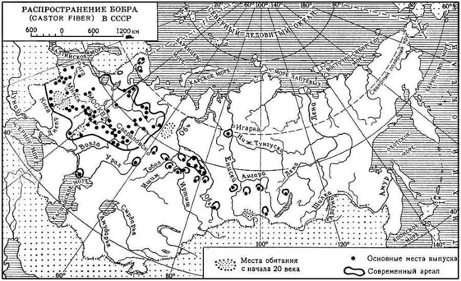 Большая Советская Энциклопедия (БО) - i009-001-209194481.jpg