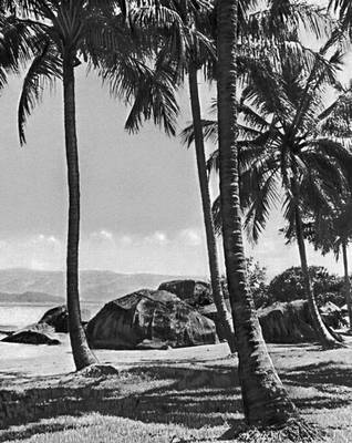 Большая Советская Энциклопедия (БР) - i010-001-260612133.jpg