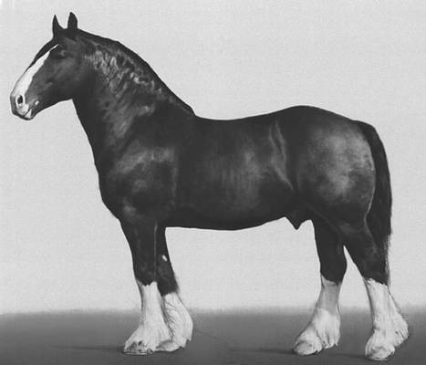 Большая Советская Энциклопедия (ВЛ) - i010-001-260603421.jpg