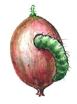 Большая Советская Энциклопедия (ВР) - i009-001-224118155.jpg