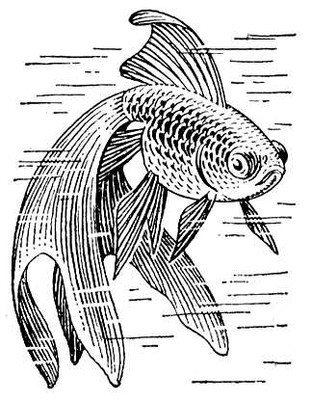 Большая Советская Энциклопедия (ВУ) - i009-001-219047343.jpg