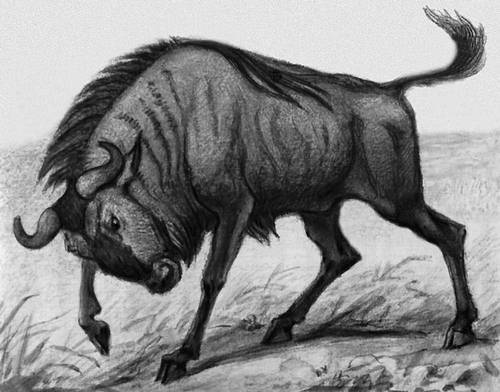 Большая Советская Энциклопедия (ГН) - i009-001-208201918.jpg