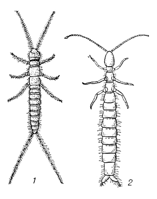 Большая Советская Энциклопедия (ДВ) - i010-001-255336039.jpg