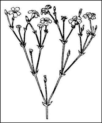 Большая Советская Энциклопедия (ДИ) - i009-001-241011675.jpg