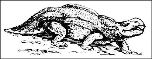 Большая Советская Энциклопедия (ДИ) - i010-001-269623313.jpg