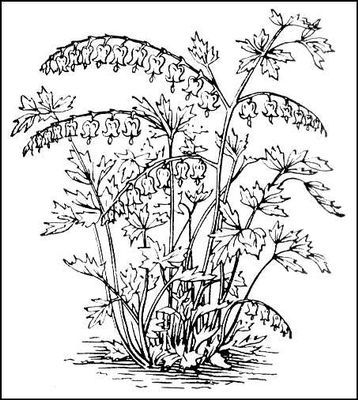 Большая Советская Энциклопедия (ДИ) - i010-001-275353421.jpg