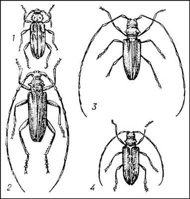 Большая Советская Энциклопедия (ДР) - i009-001-208940988.jpg