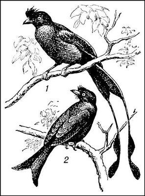 Большая Советская Энциклопедия (ДР) - i009-001-218602246.jpg