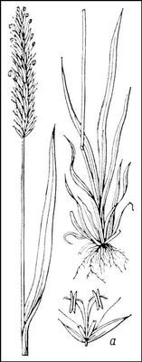 Большая Советская Энциклопедия (ДУ) - i010-001-262982160.jpg