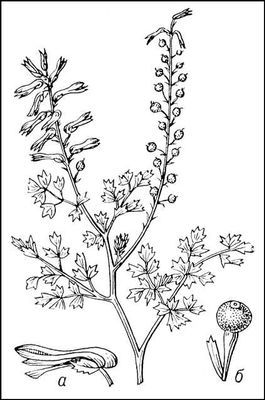 Большая Советская Энциклопедия (ДЫ) - i010-001-254934398.jpg