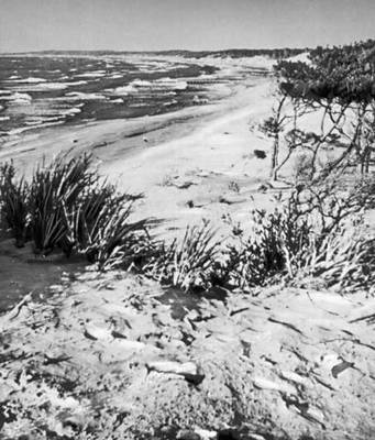 Большая Советская Энциклопедия (ЕВ) - i009-001-224712585.jpg