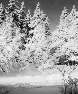 Большая Советская Энциклопедия (ЕВ) - i010-001-271958476.jpg