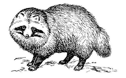 Большая Советская Энциклопедия (ЕН) - i009-001-214424463.jpg