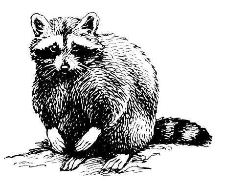 Большая Советская Энциклопедия (ЕН) - i010-001-251267290.jpg