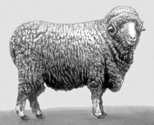 Большая Советская Энциклопедия (ЗА) - i008-pictures-001-296157635.jpg