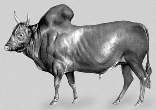 Большая Советская Энциклопедия (ЗЕ) - i009-001-230459405.jpg