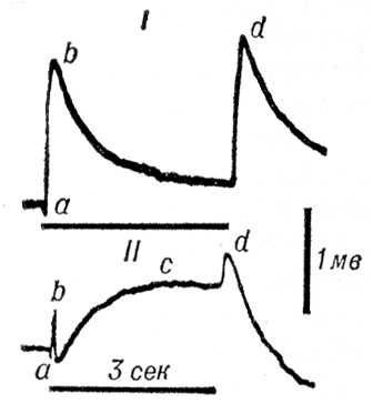 Большая Советская Энциклопедия (ЗР) - i010-001-286203747.jpg