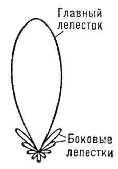 Большая Советская Энциклопедия (ИЗ) - i008-pictures-001-296899102.jpg