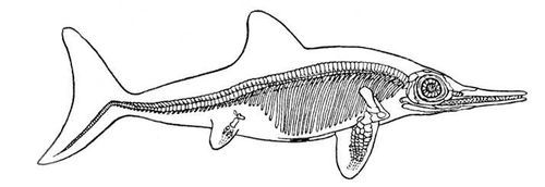 Большая Советская Энциклопедия (ИХ) - i009-001-228970130.jpg