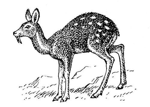 Большая Советская Энциклопедия (КА) - i008-pictures-001-292607738.jpg