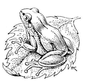 Большая Советская Энциклопедия (КВ) - i010-001-287004365.jpg