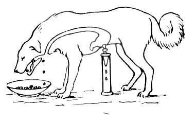 Большая Советская Энциклопедия (МН) - i009-001-243953849.jpg