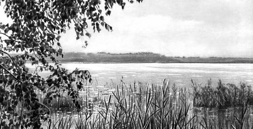 Большая Советская Энциклопедия (ОЗ) - i008-pictures-001-289346755.jpg