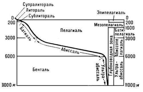 Большая Советская Энциклопедия (ОК) - i009-001-222320833.jpg