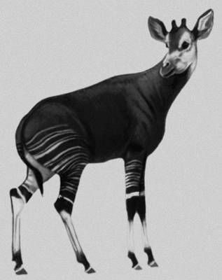 Большая Советская Энциклопедия (ОК) - i010-001-270480175.jpg