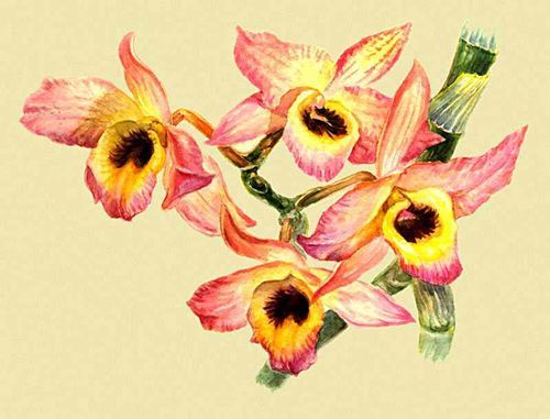 Большая Советская Энциклопедия (ОР) - i010-001-255067122.jpg