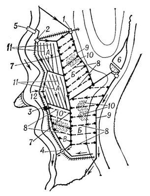 Большая Советская Энциклопедия (ОС) - i008-pictures-001-290831937.jpg