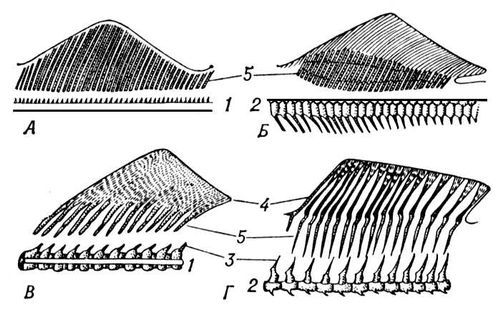 Большая Советская Энциклопедия (ПЛ) - i010-001-284951869.jpg