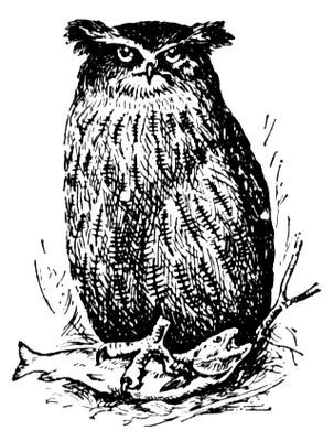 Большая Советская Энциклопедия (РЫ) - i008-pictures-001-293286045.jpg