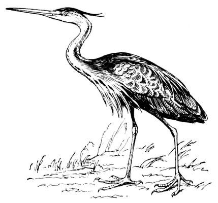 Большая Советская Энциклопедия (РЫ) - i009-001-204821934.jpg