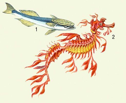 Большая Советская Энциклопедия (РЫ) - i009-001-208091140.jpg