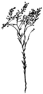 Большая Советская Энциклопедия (РЫ) - i009-001-215031344.jpg