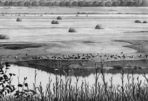 Большая Советская Энциклопедия (РЯ) - i009-001-240965558.jpg