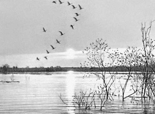 Большая Советская Энциклопедия (РЯ) - i010-001-267762057.jpg