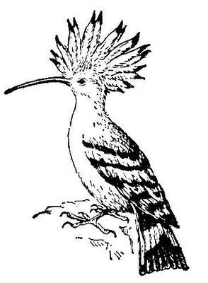 Большая Советская Энциклопедия (УД) - i008-pictures-001-295470127.jpg