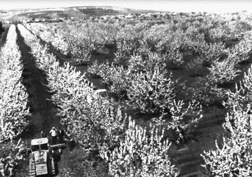 Большая Советская Энциклопедия (УЛ) - i009-001-216107329.jpg