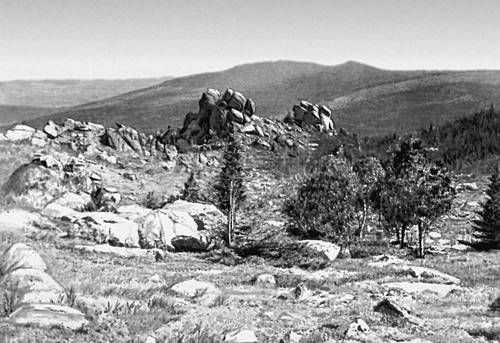 Большая Советская Энциклопедия (УР) - i009-001-203243271.jpg